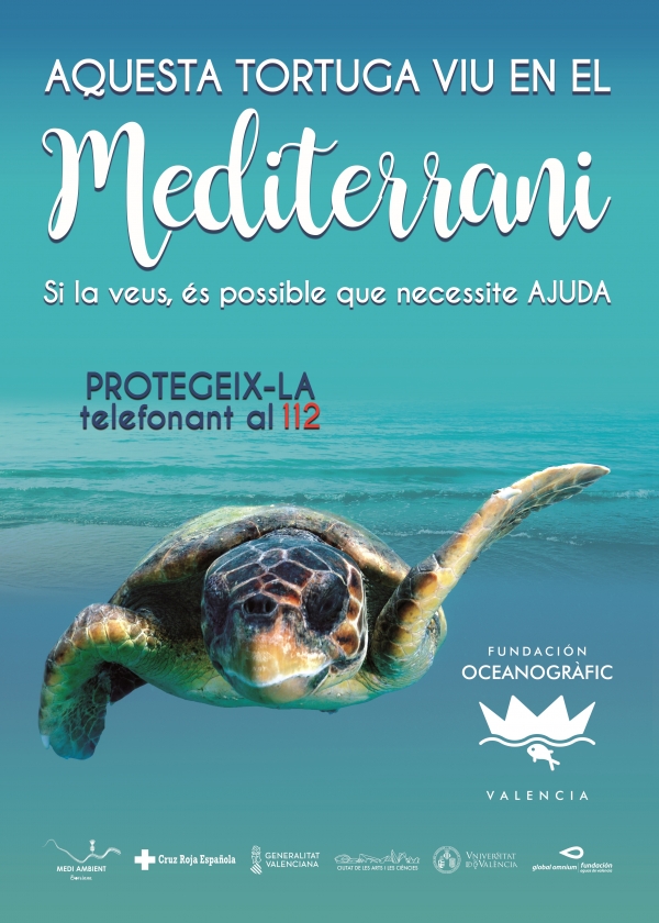 Burriana se suma a la campaña de tortugas del Oceanogràfic