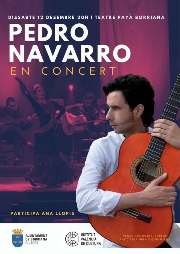 El guitarrista Pedro Navarro actuará en diciembre el en Teatro Payà en diciembre
