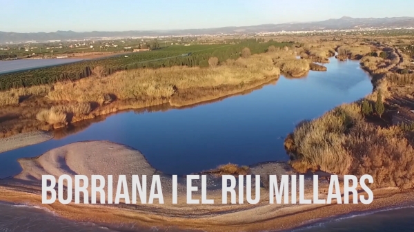 Borriana i el Riu Millars