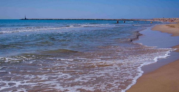 Cierre temporal de la playa de la Malvarrosa por contaminación de residuos 