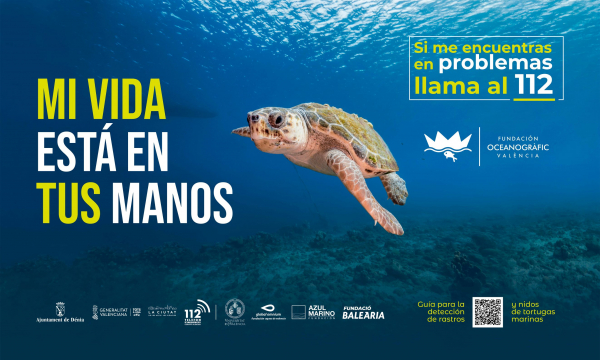 Burriana participa en la nueva campaña de Trotugas en el Mediterráneo 2022