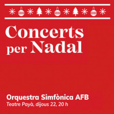 2022-11-Orquestra_simfonica_AFB.jpg