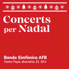 2022-11-Banda_Simfonica_AFB.jpg